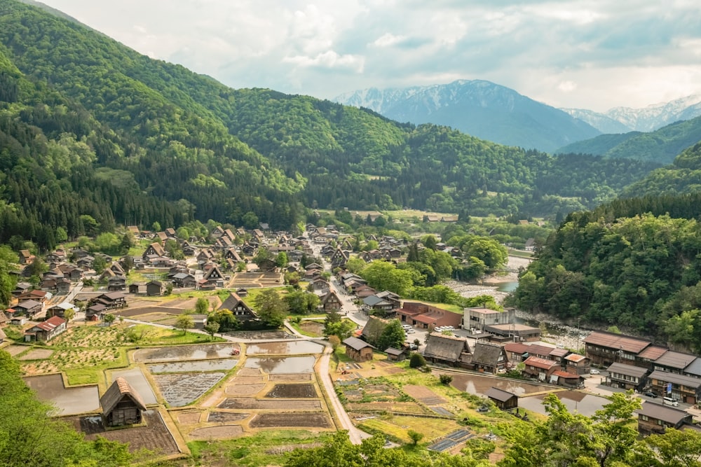 houses and rice paddies at the valley with river