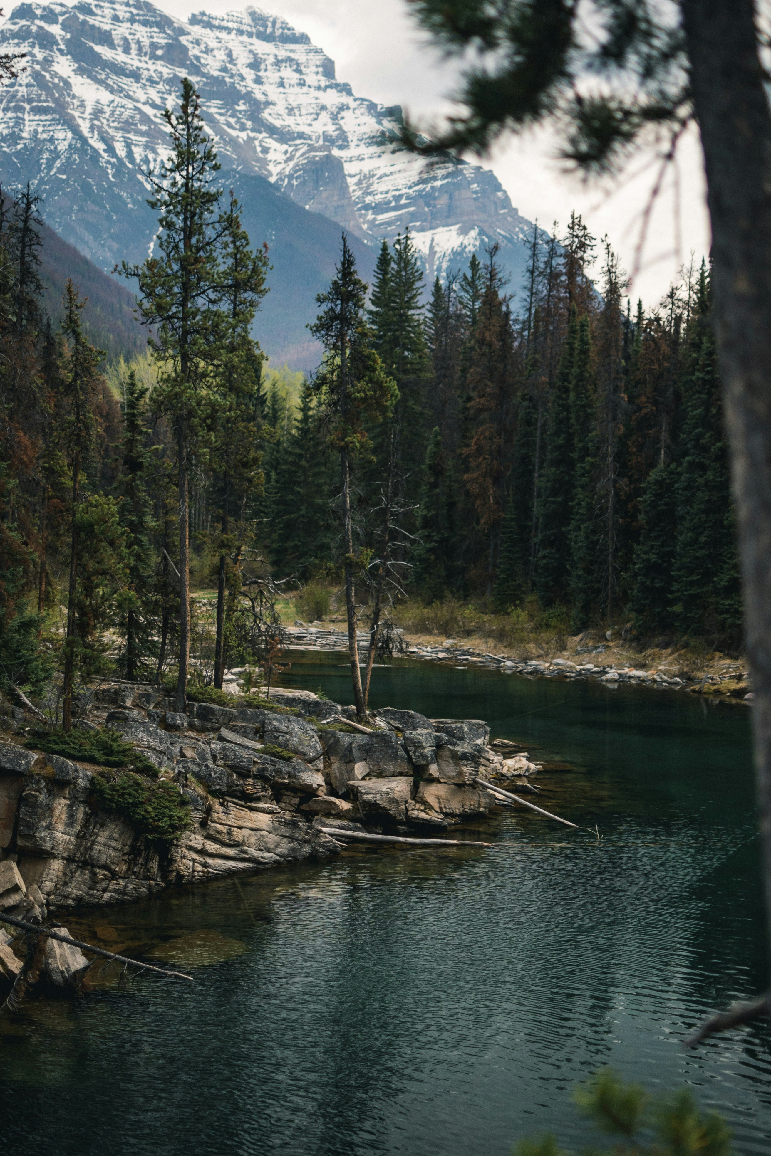 lake near trees and mountains