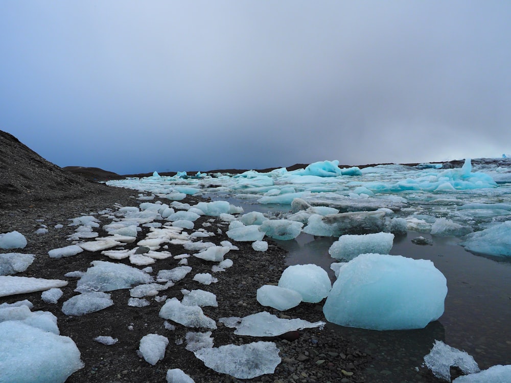 pile of ice bergs