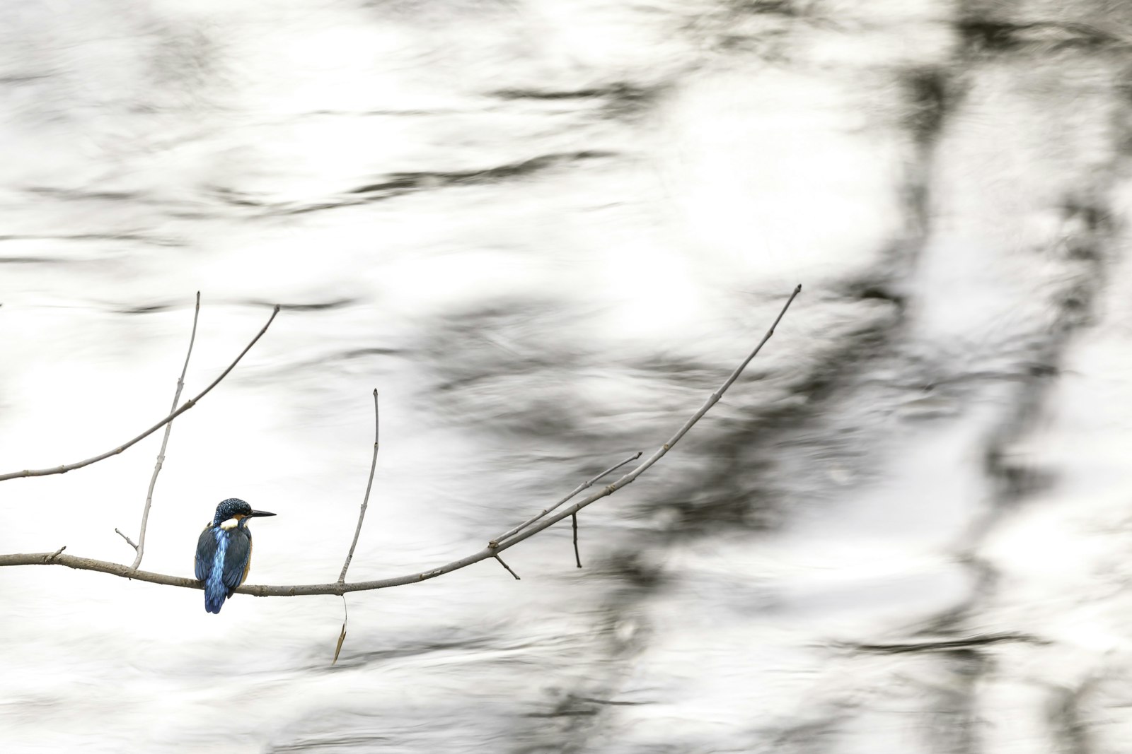 Canon EF 300mm F2.8L IS II USM sample photo. Shallow focus photo of photography