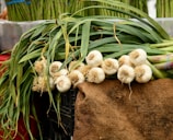 A display of fresh garlic bulbs resting on a burlap sack, with long green stems extending in various directions. In the background, bundles of asparagus are visible, adding a textured and vibrant layer to the scene.