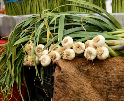 A display of fresh garlic bulbs resting on a burlap sack, with long green stems extending in various directions. In the background, bundles of asparagus are visible, adding a textured and vibrant layer to the scene.