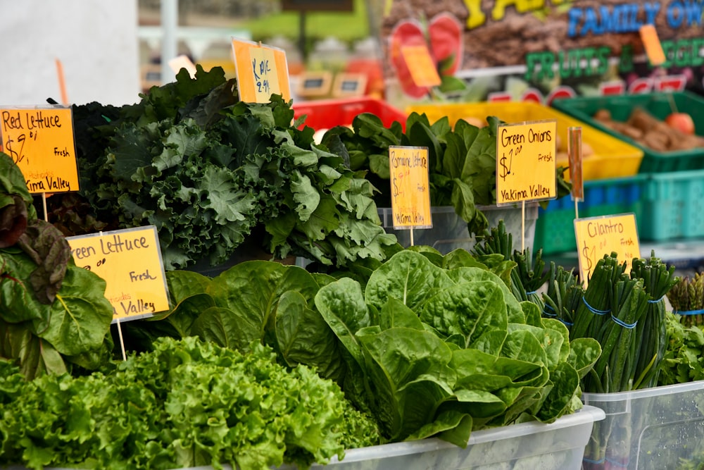 green vegetable display