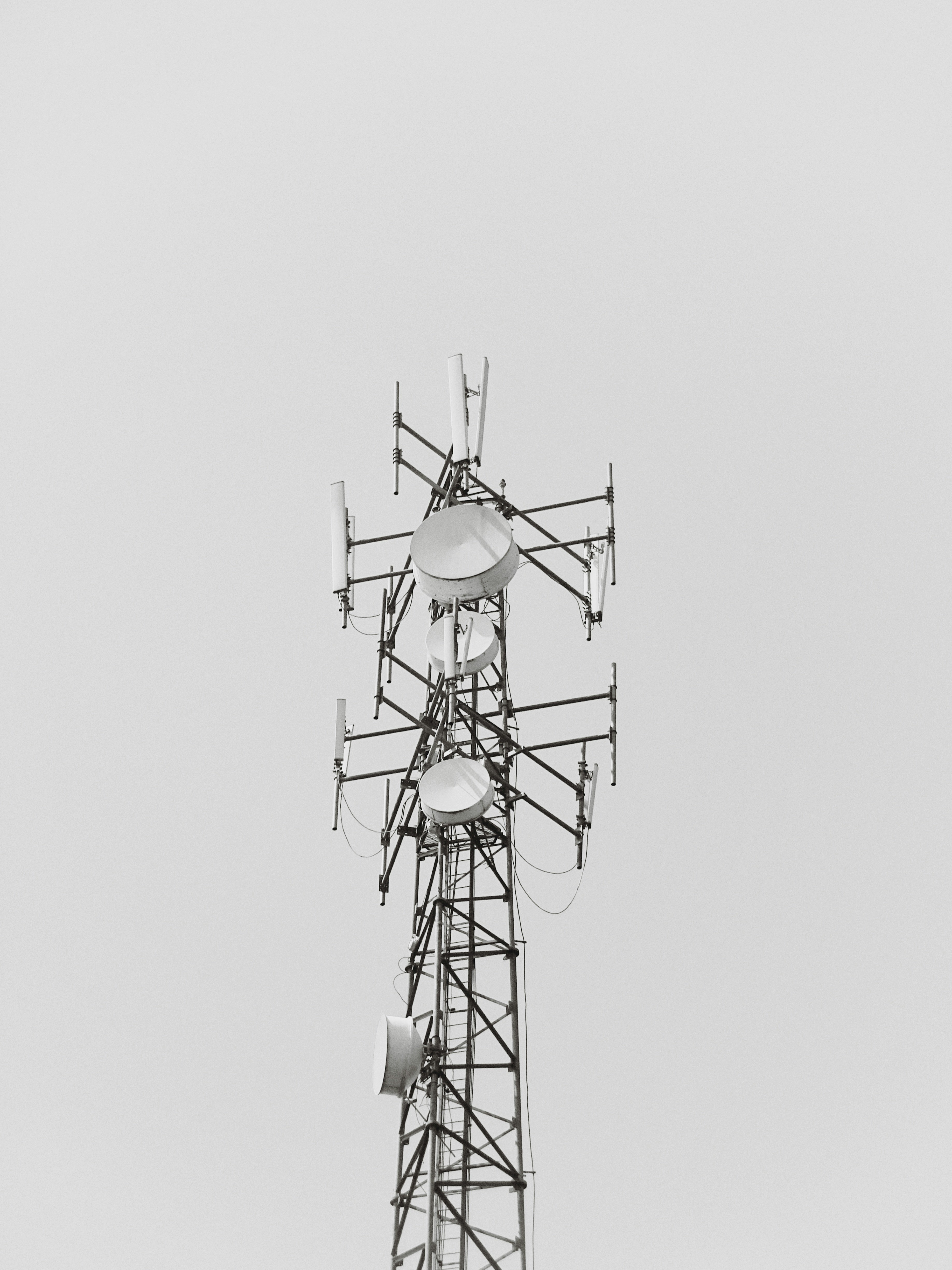 Photo by lightenshot