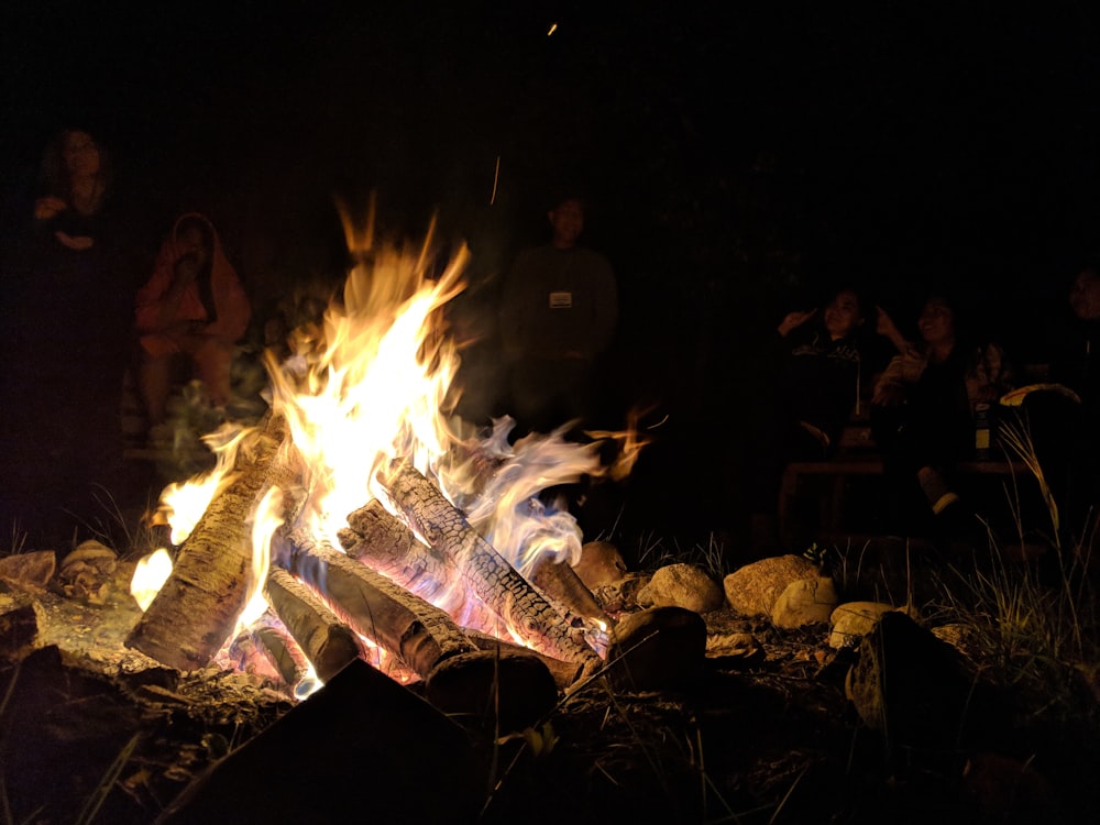 people and bonfire photo