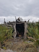 An improvised structure made from driftwood and branches is surrounded by tall grass. The sky is overcast, suggesting a dull or potentially rainy day. The structure appears rustic and natural, blending into the surrounding landscape.