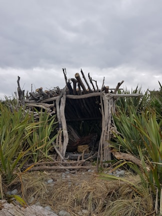 An improvised structure made from driftwood and branches is surrounded by tall grass. The sky is overcast, suggesting a dull or potentially rainy day. The structure appears rustic and natural, blending into the surrounding landscape.