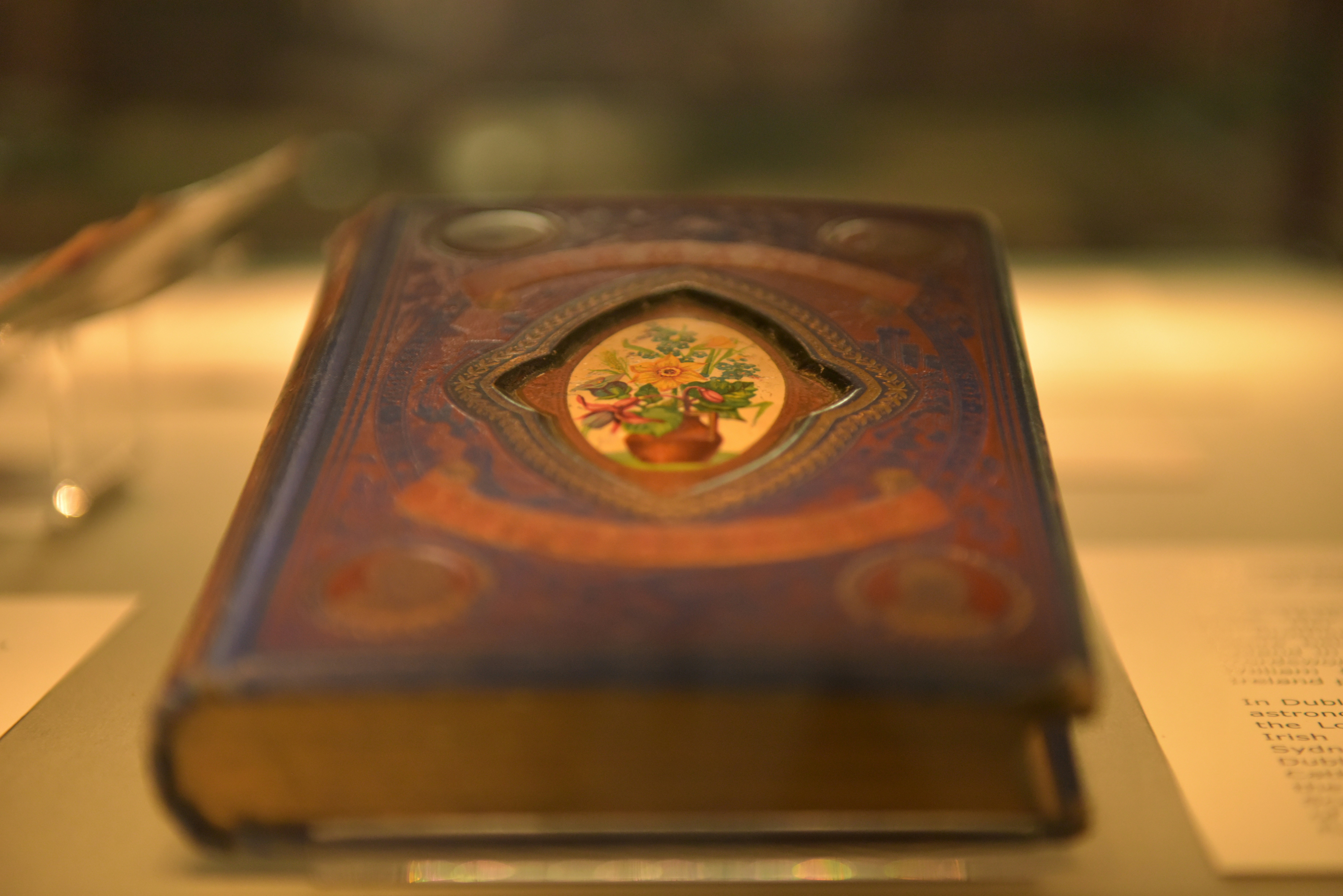 brown book