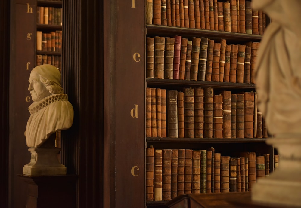 a bust of a man in front of a bookshelf