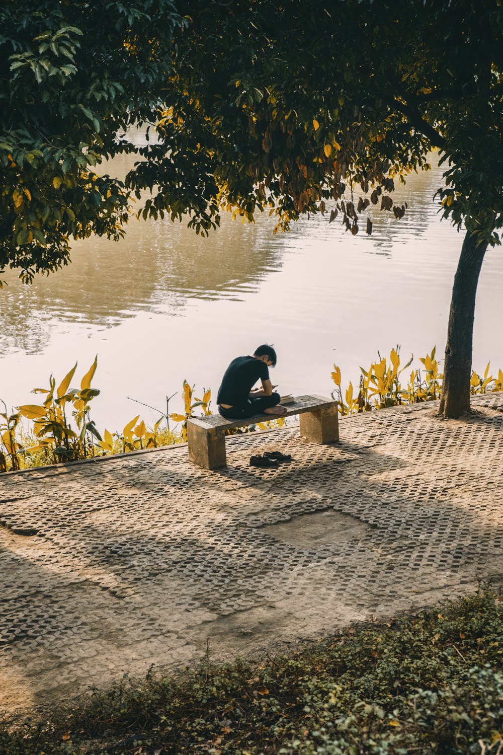 homme assis sur un banc