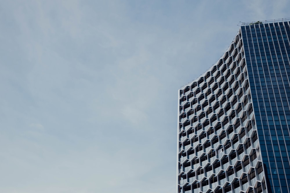 low angle photo of curtain glass wall building