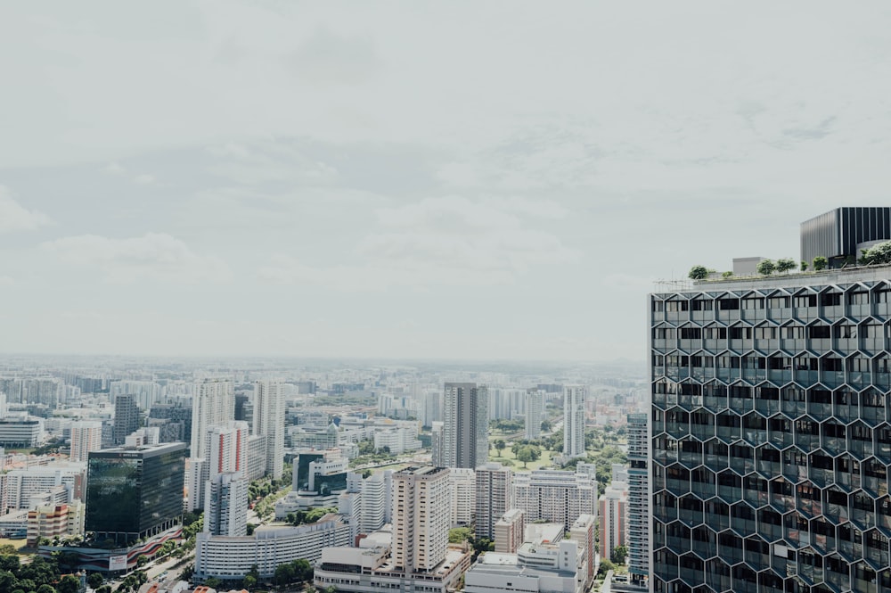 cityscape during daytime