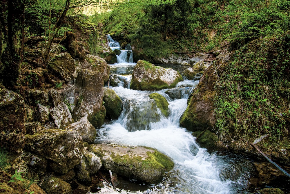 Flujo de agua durante el día