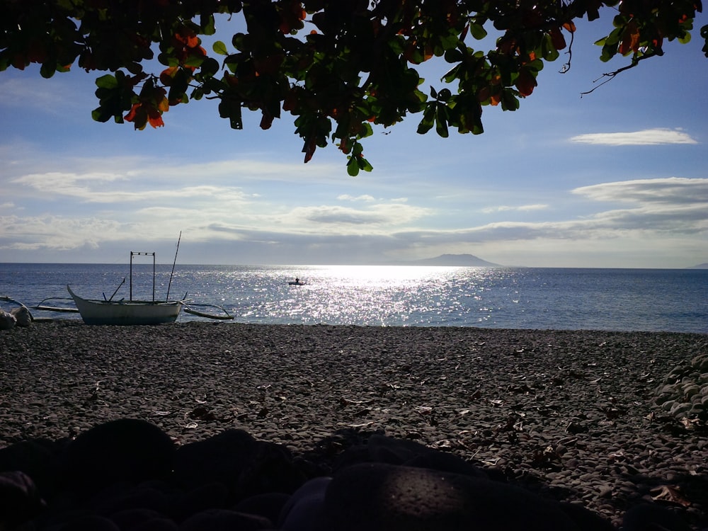 boat on shore during daytime