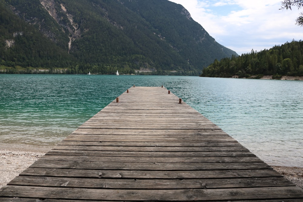 brown wooden dock towards body of water during daytime