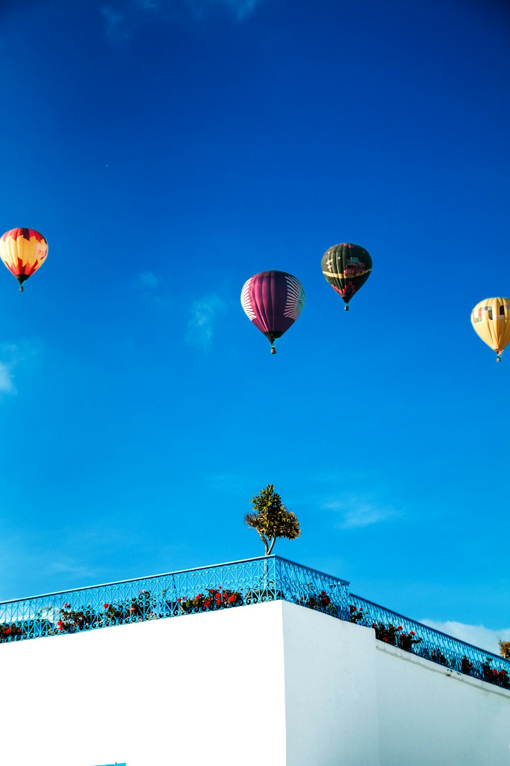 assorted-color hot air balloons