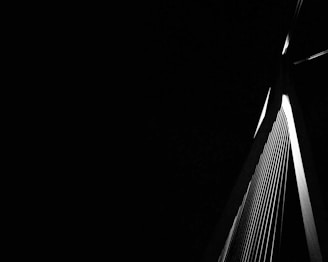 A dark, abstract silhouette of a bridge fading into blackness, hinting at hidden pathways and unseen connections.