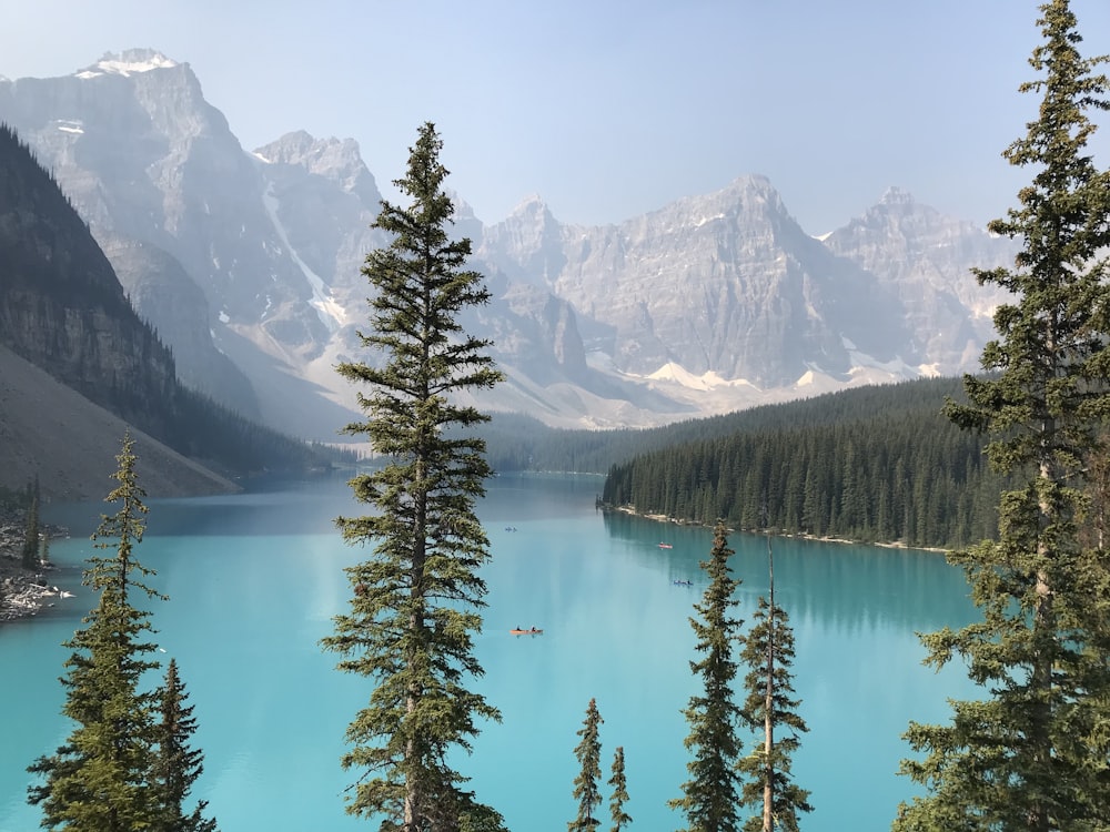 Ein blauer See, umgeben von Bäumen und Bergen