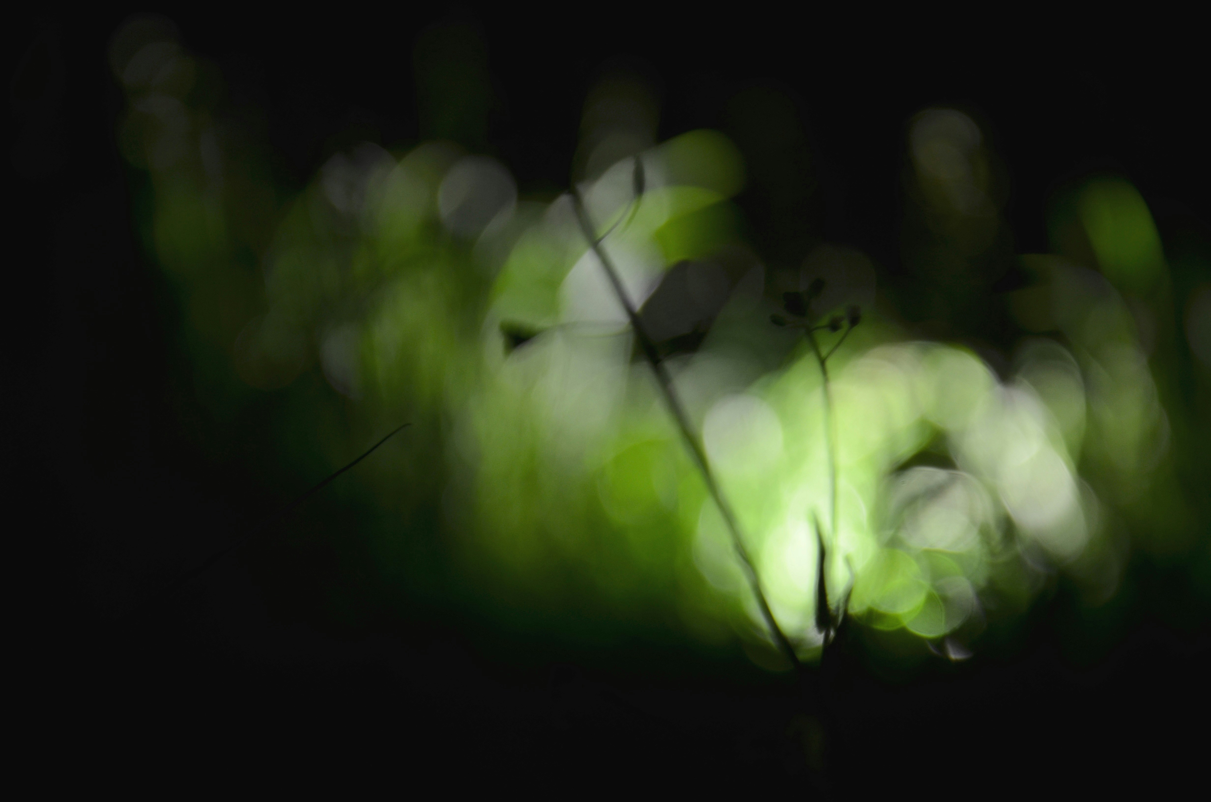 Photo by poliezhaievv