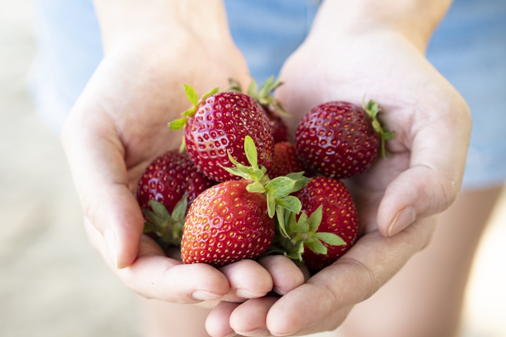 Erdbeer-Früchte