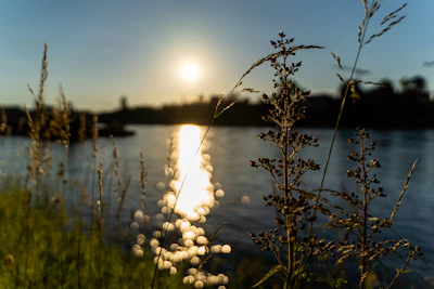 A serene riverside scene in Vétheuil, bathed in warm afternoon light.