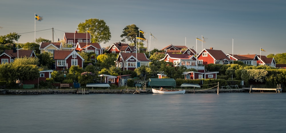 houses near body of water