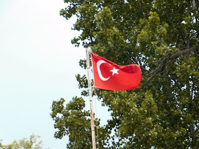 turkey flag flag zoom background