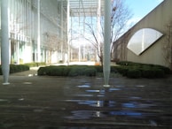 An outdoor courtyard featuring modern architecture and landscaping. The ground is covered with wooden planks, some of which have puddles from recent rain. There are bushes trimmed into neat shapes and bare trees without leaves. A building with large windows and a geometric design is visible in the background.
