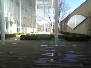 A beautifully designed courtyard featuring modern landscaping elements.