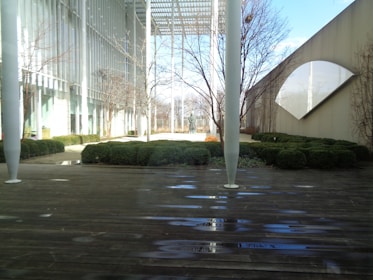 An outdoor courtyard featuring modern architecture and landscaping. The ground is covered with wooden planks, some of which have puddles from recent rain. There are bushes trimmed into neat shapes and bare trees without leaves. A building with large windows and a geometric design is visible in the background.