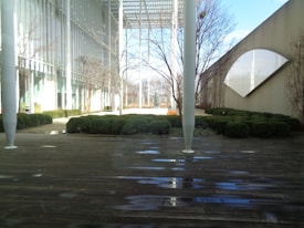 An outdoor courtyard featuring modern architecture and landscaping. The ground is covered with wooden planks, some of which have puddles from recent rain. There are bushes trimmed into neat shapes and bare trees without leaves. A building with large windows and a geometric design is visible in the background.