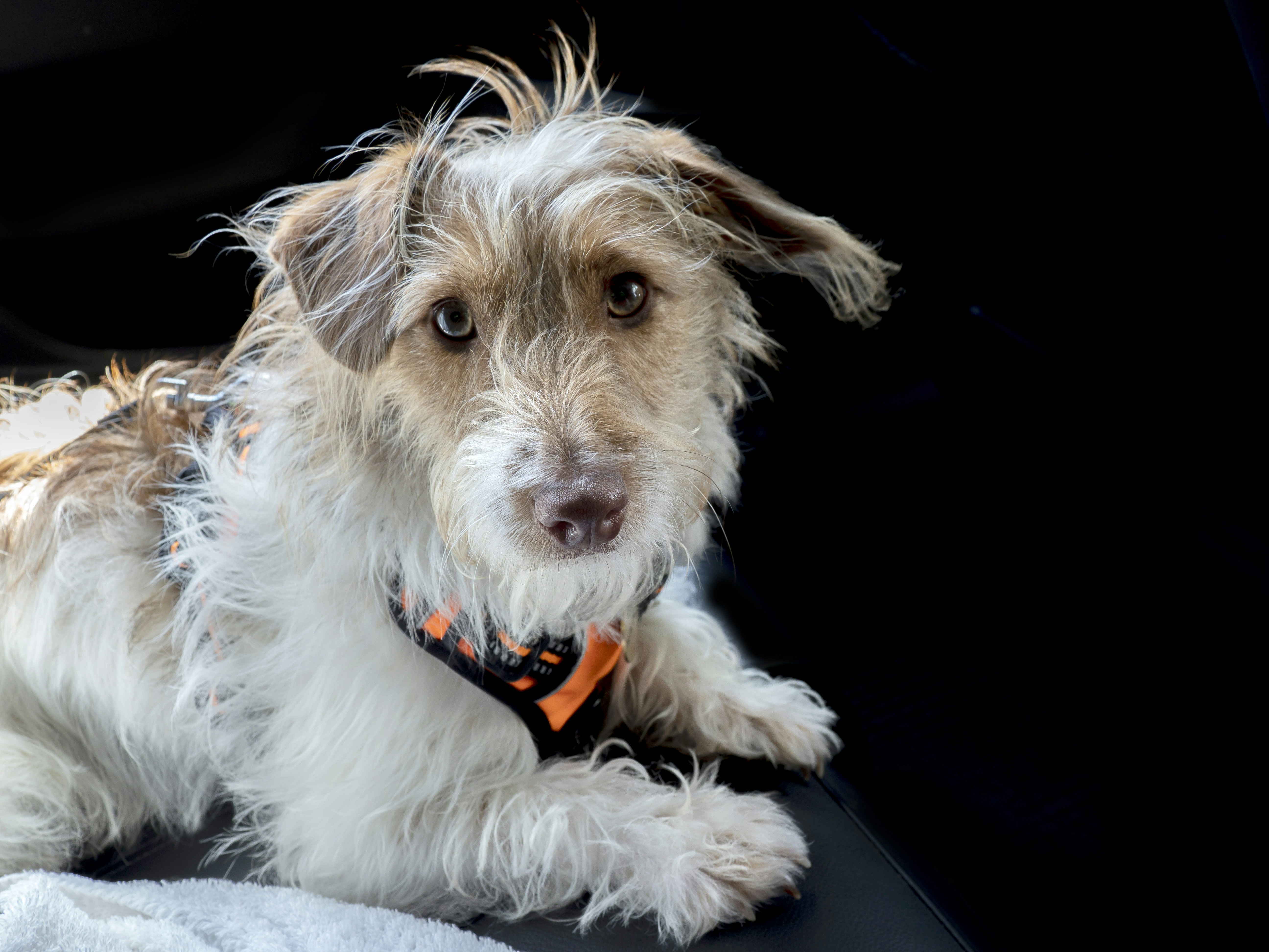 Photo by brett_jordan