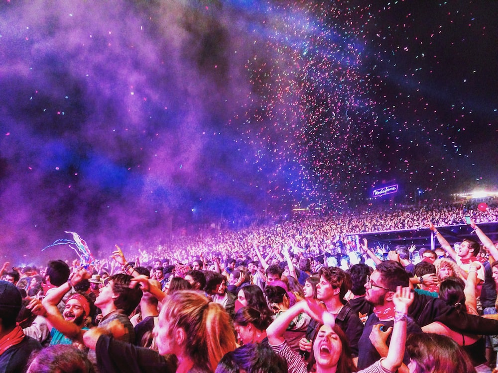 group of people cheering during nighttime