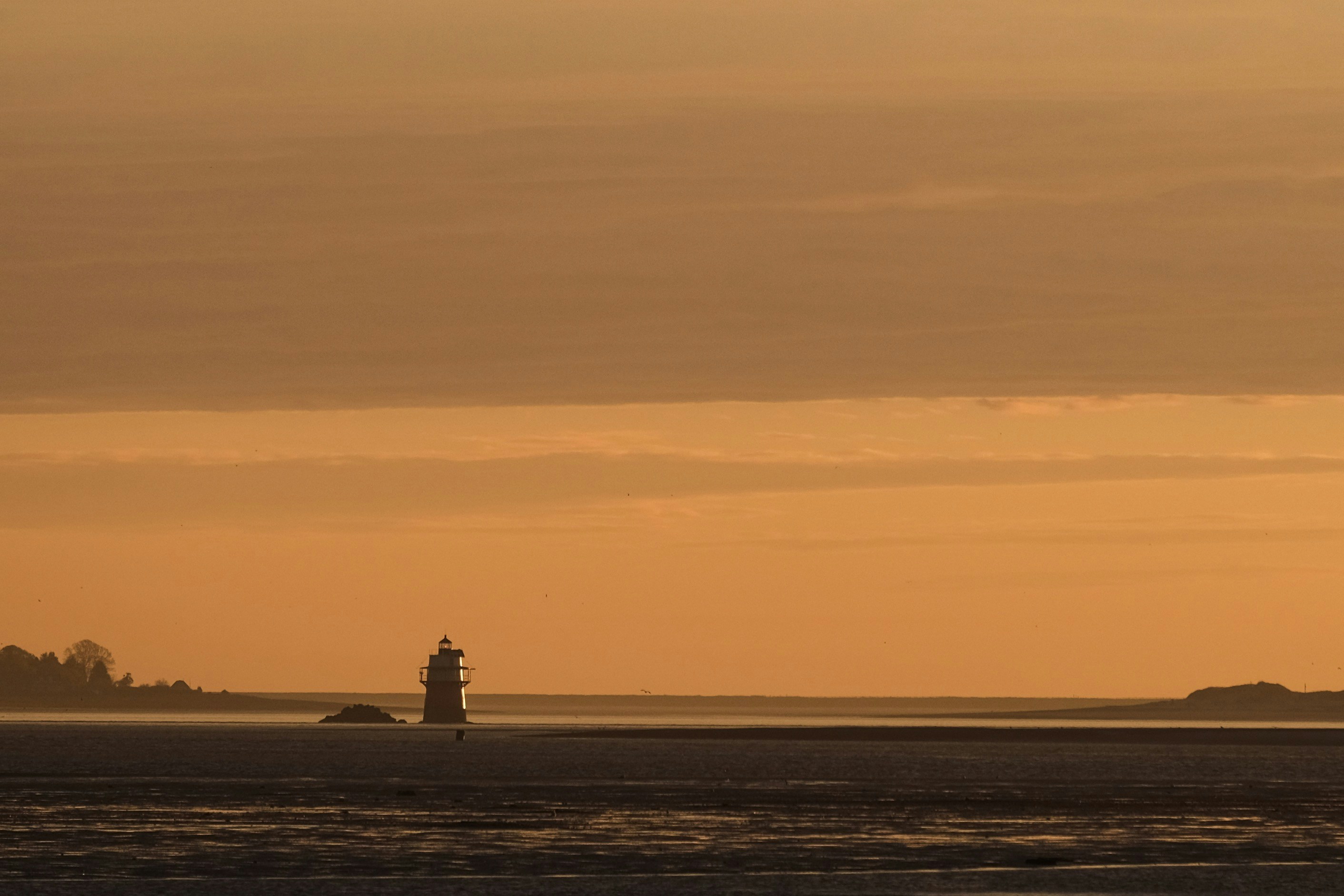 Photo by jarrodpimentals