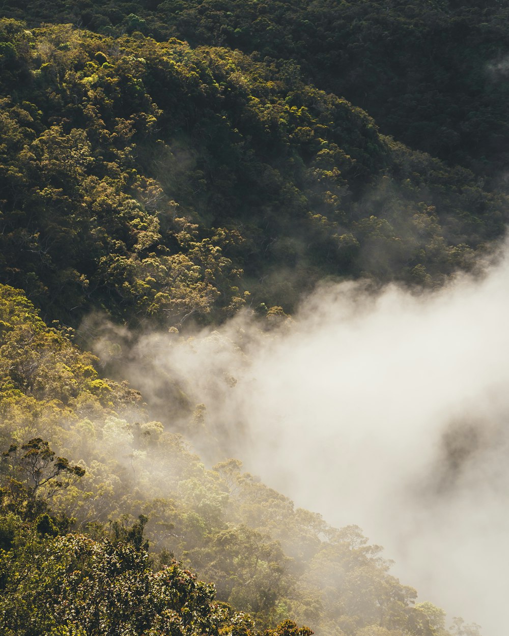 landscape photography of green mountain