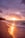 beach seashore during sunset