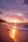 beach seashore during sunset