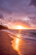 Hawaii to mainland return car shipping