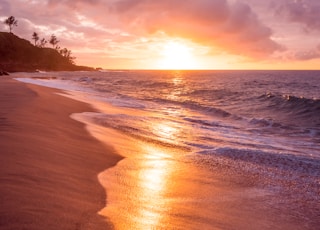 beach seashore during sunset
