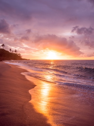 beach seashore during sunset