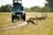 A group of gazelles running across a grassy pathway in front of a safari vehicle with passengers on top. The scene takes place in a natural reserve with trees and shrubbery in the background.