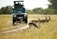 A group of gazelles running across a grassy pathway in front of a safari vehicle with passengers on top. The scene takes place in a natural reserve with trees and shrubbery in the background.