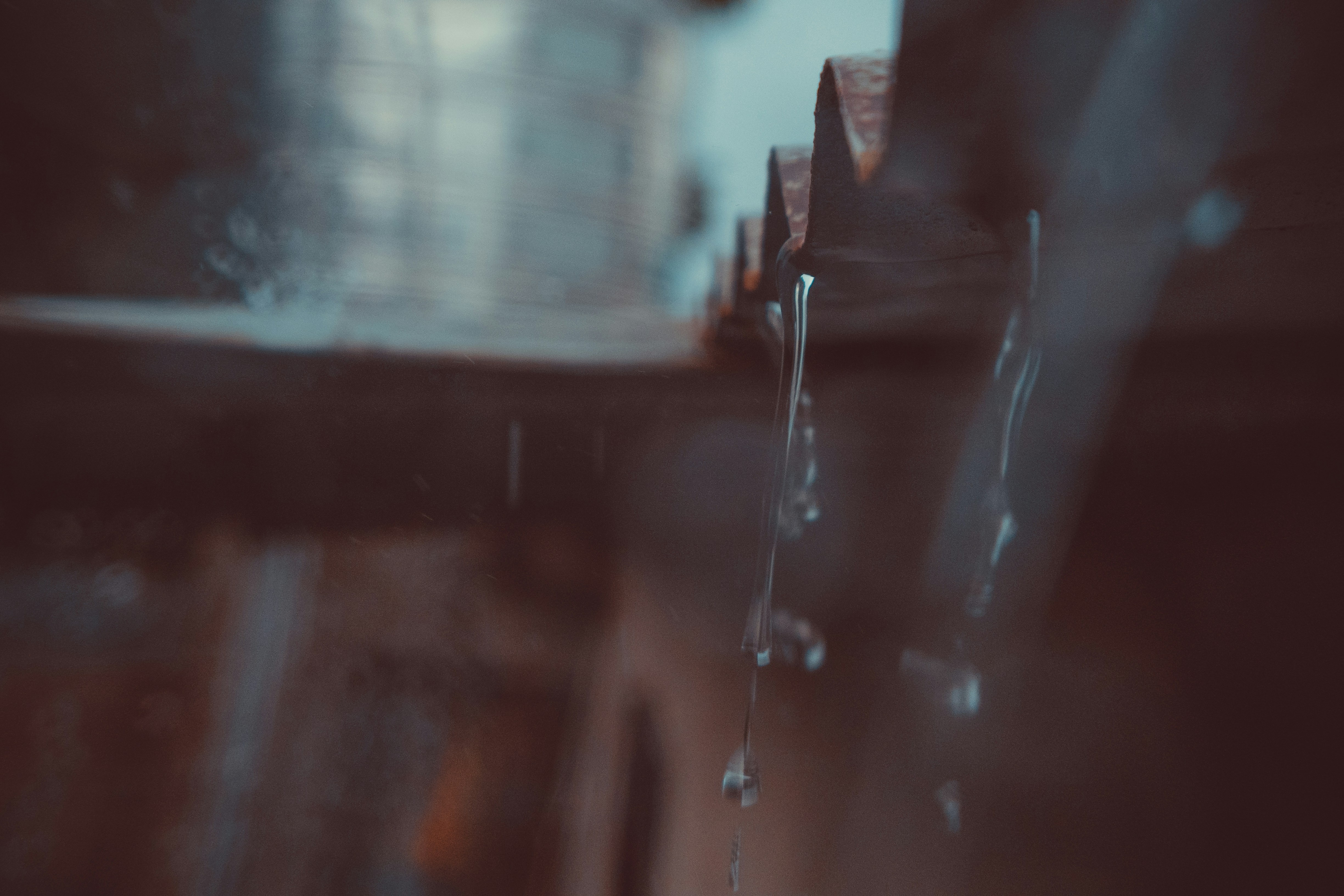 Photo by huy_sprout14