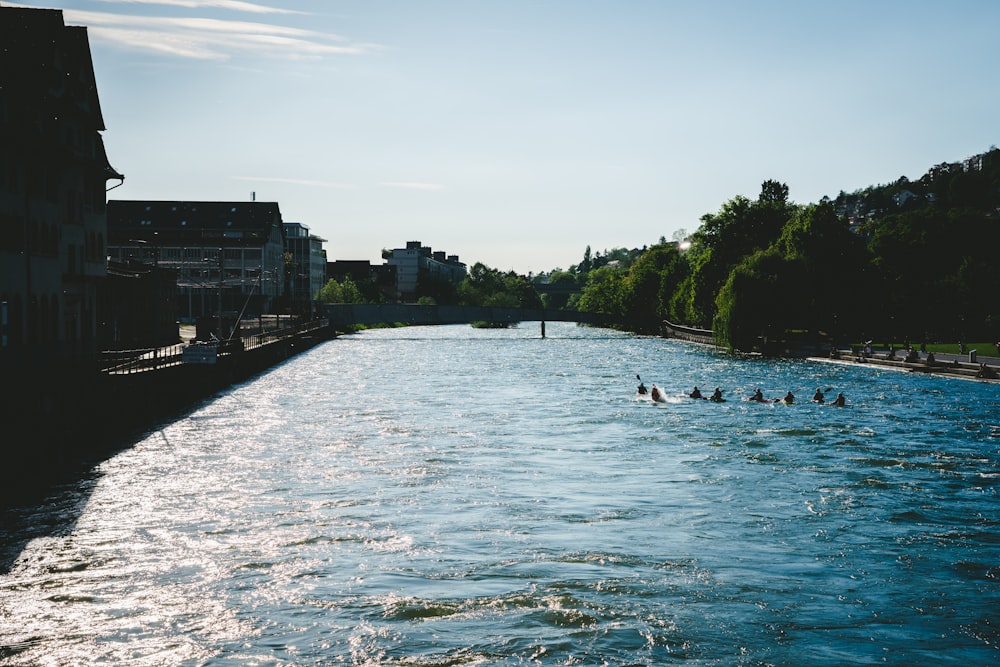 people swimming in river