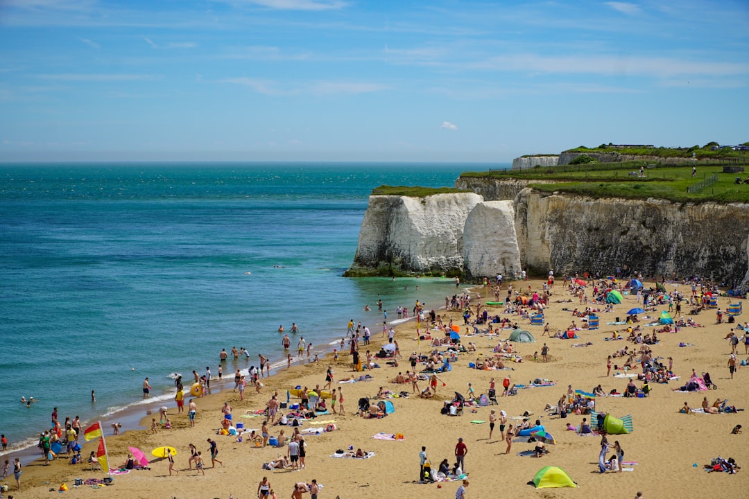 people on seashore during daytime