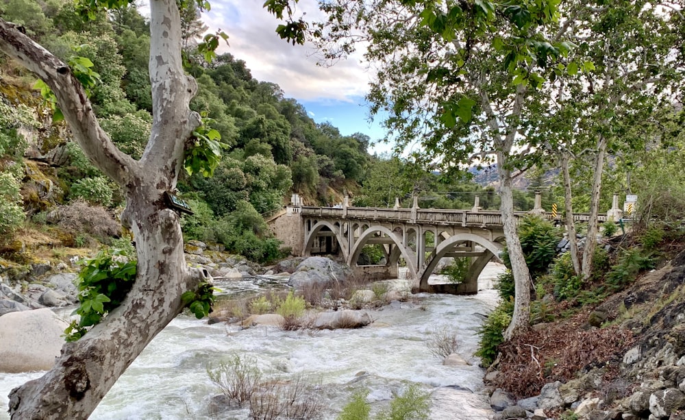 ponte de concreto acima da água durante o dia