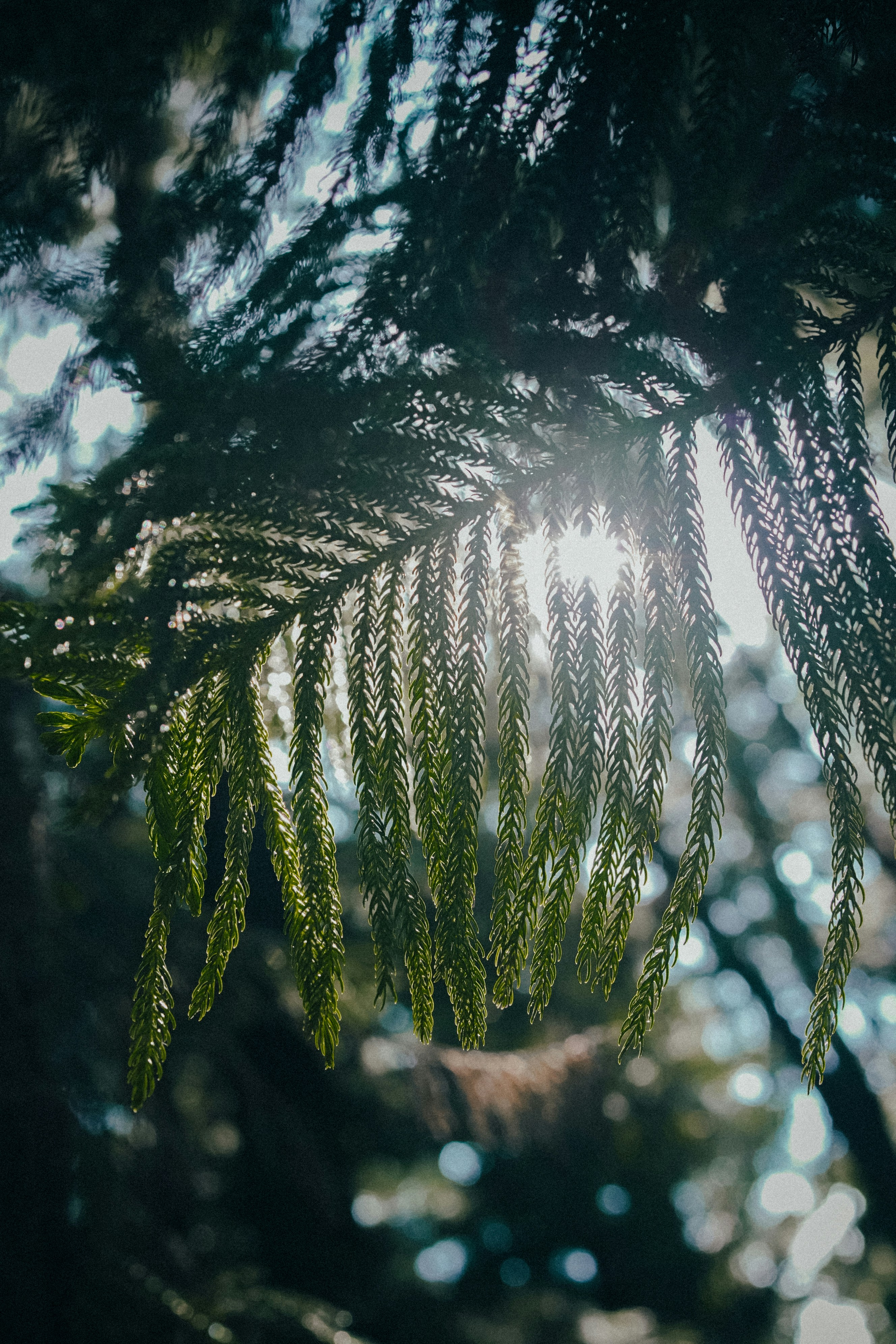 Photo by chrisyangchrisfilm