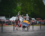 A lively scene of knights and armigers preparing for a combat demonstration.