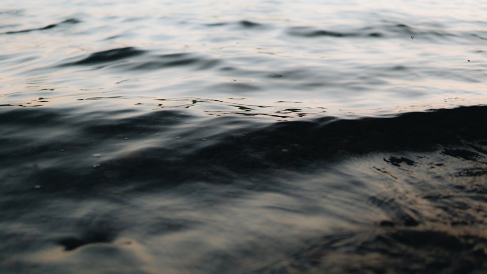 time lapse photography of rippling water