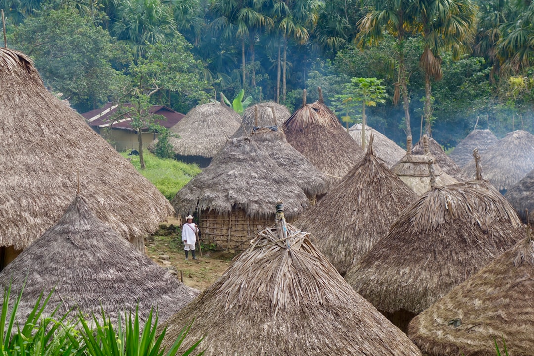 nipa huts between forest,